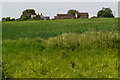 View across field to Hill Farm in TA5 2PR