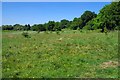 Harlow's Hay Meadow in CM18 7SF