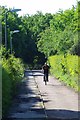 Cycleway to Pinnacles in CM19 4EH