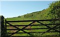 Gate and field by Stoke Road in TQ4 7AU