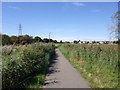 Footpath, Benfleet Marsh in SS7 1NA