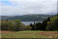 A View of Loch Ness from below Grotaig in IV63 6XH