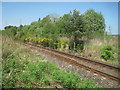 Rothiemay railway station (site), Aberdeenshire in AB54 7JQ