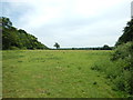 Field near Ashridge Manor in RG40 5BA