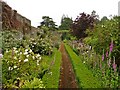 Herbaceous borders, Farfield House in TA5 1PU