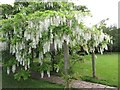 Wisteria Walk - Woodside Gardens in SO41 8AB