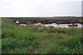 Saltmarsh in Pagelsham Pool in SS4 2DY