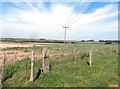 Fields near Westfield Farm in NE68 7US