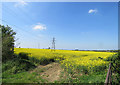 Pylons and oil seed rape by the Fosse Way in CV23 0RS