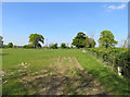 Field edge north of Coal Pit Lane in CV23 0SL