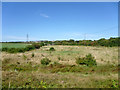 Rough grassland behind Railway View Farm in SS7 5DQ