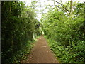 Footpath along the boundary of Park Farm in RG42 4EX
