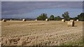 Round bales, Mungoswells in EH39 5BS