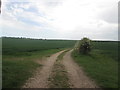 Wolds Way at West Heslerton Brow in YO17 8RY