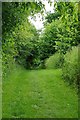 Verdant Path to Hedingham in CO9 3NL