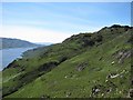 Easier terrain above Loch Morar in PH41 4PP