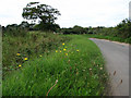 Quiet Lane from Paston Green to Knapton in NR28 9AD