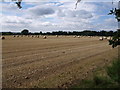 Bales near Chilton Cantelo in BA22 8RS
