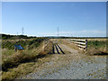 Bridge over ditch, Bowers Marsh in SS16 4UH