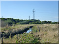 Drainage ditch, Bowers Marsh in SS16 4UH