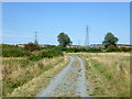 Track leading to the Manorway in SS16 4UH