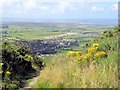 Above Prestatyn on the Offa's Dyke Path in LL19 8LH