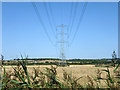 Power line, Bowers Marsh in SS16 4UH