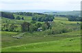 Pasture bordering the A68 in NE48 2TP