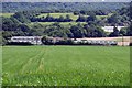 Greenhouses at Park View Farm in EN9 2AR
