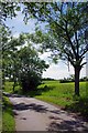 Lane to Parvills Farm in Epping West & Rural Ward