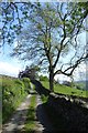 Footpath above Near Sawrey in LA22 0LB