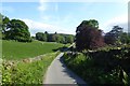 Footpath to Near Sawrey in LA22 0LB