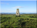 Westerkeith Hill Trig Pillar in DD2 5NY