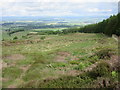 Looking down the hillside near Tullybaccart in PH13 9LA
