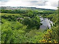 River Tyne from Wylam Scar in NE41 8AW