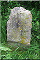 Boundary stone beside Banks Road in DL6 3QY