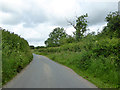 Lane from Affpuddle to Tolpuddle in DT2 7HF