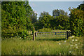 Newport District : Grassy Field & Gate in NP18 2PH