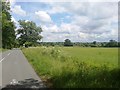 Ruscombe - Field next to Railway Line in RG10 9DG