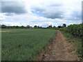 Bridleway around cropfield in Cleatlam