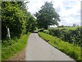 Rural Road passing Benhams Copse in RG42 5BF