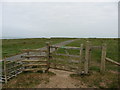 The Pembrokeshire Coast Path near Buckspool Down in SA71 5DP