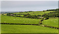 Monkley Gill in Halton-with-Aughton
