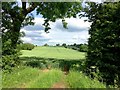 Farmland Viewed from Hellaby Lane in S66 8HN