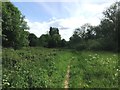 Path and Woodland Clearing near Hellaby in S66 8EZ