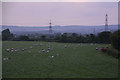 Monmouthshire : Grassy Field in Magor with Undy Community