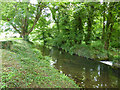 River Piddle, Affpuddle in DT2 7HH