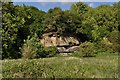 Rock Outcrop in Old Quarry in KY3 0BX