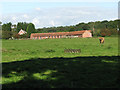 View to Dairy Farm across pasture in NR28 9PL
