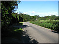 View north on Honing Road through Mill Common in NR28 9PL